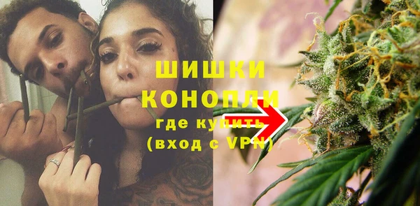 PSILOCYBIN Семикаракорск