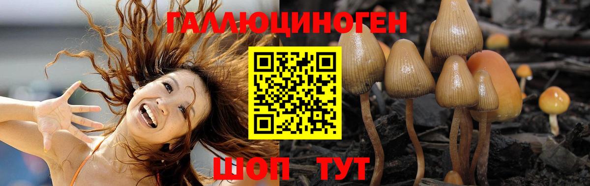 Псилоцибиновые грибы GOLDEN TEACHER Тихорецк