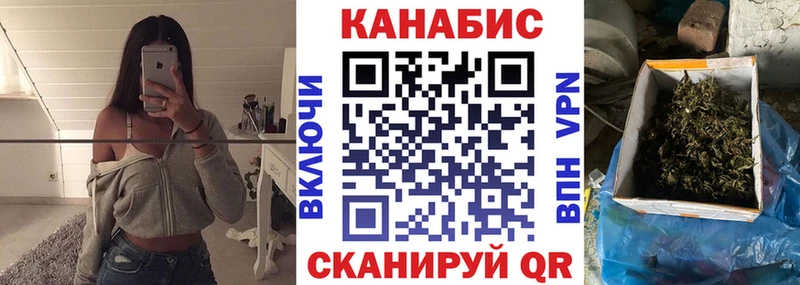 Конопля сатива  Тихорецк 